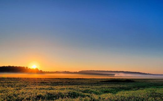 539729 (a): :2560x1584
